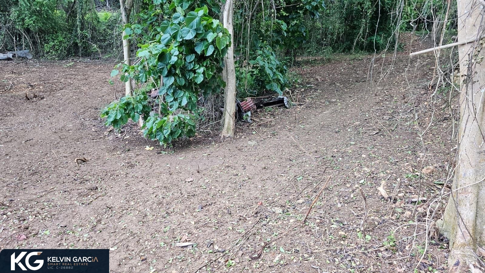 Terreno en Venta - Isabela 4